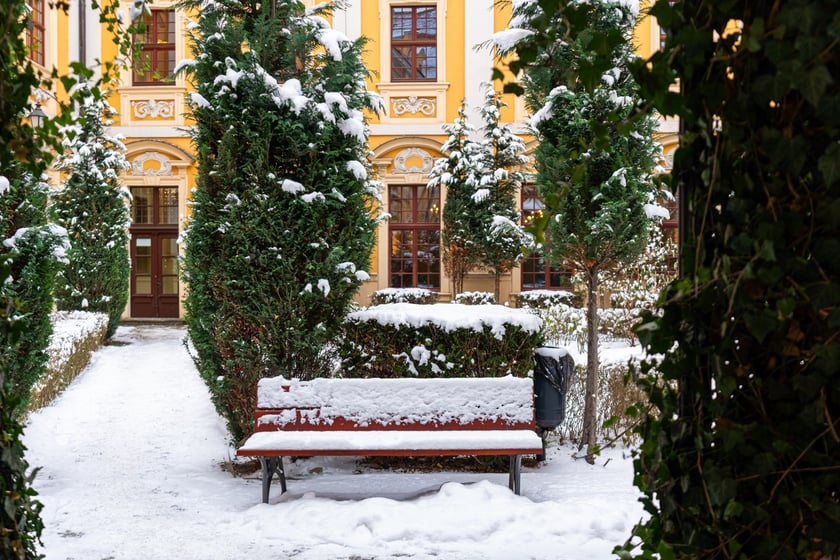 Wirydarz w budynku Wydziału Filologicznego przy pl. Nankiera